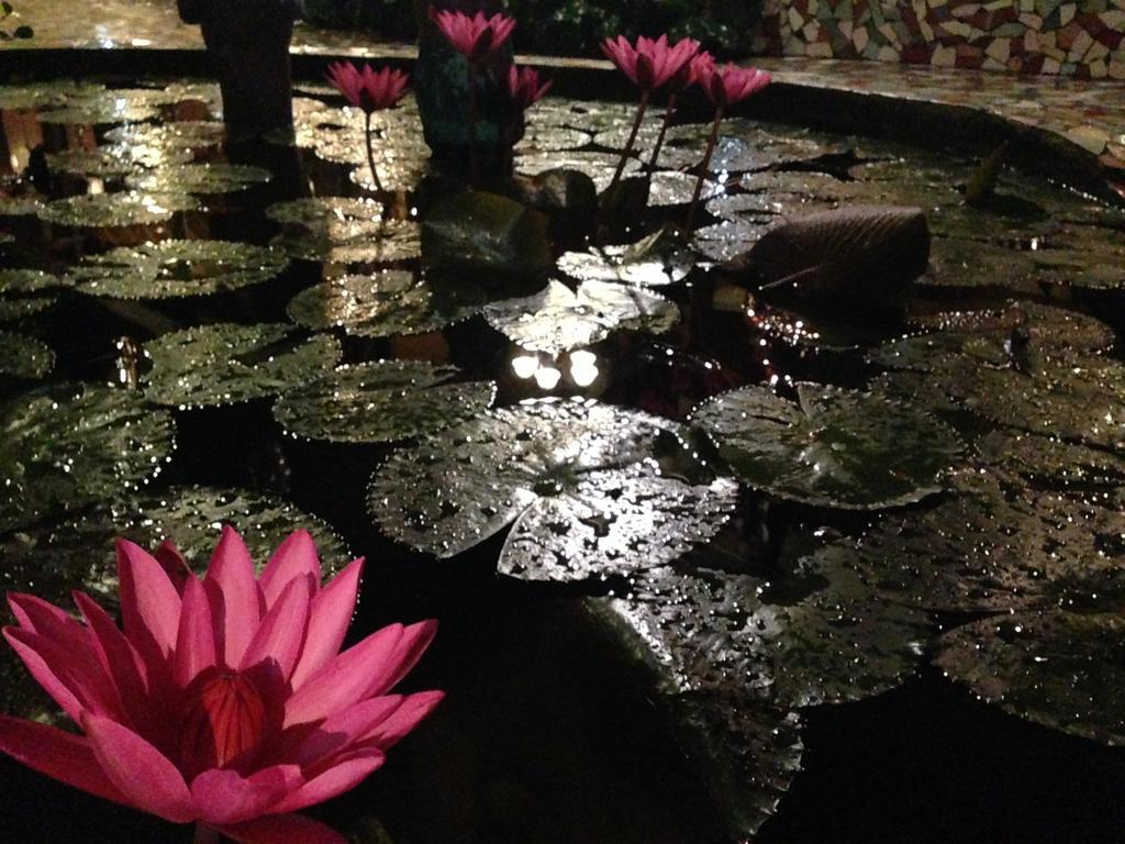 مبيت وإفطار بويرتو برينسيسا The Lotus Garden المظهر الخارجي الصورة