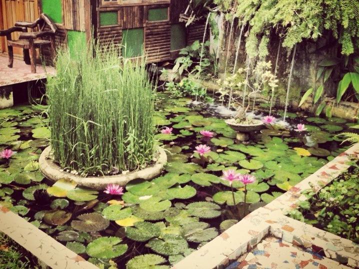 مبيت وإفطار بويرتو برينسيسا The Lotus Garden المظهر الخارجي الصورة